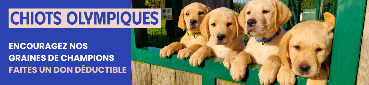 G6 x mind me - Collecte S1 24 - Module de don