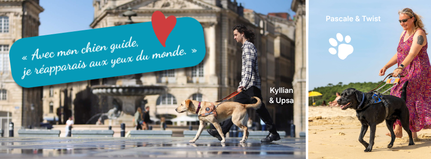 Couverture Facebook - Chiens Guides CFA26